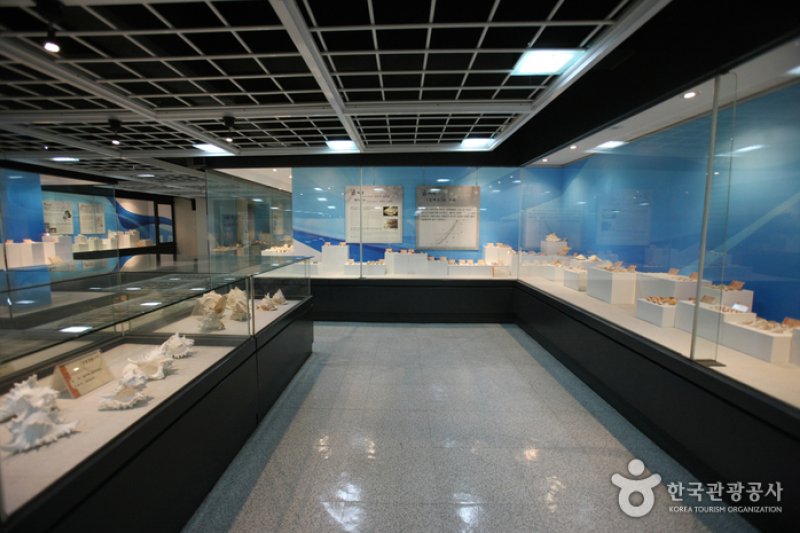 Busan Marine Natural History Museum  (20/21)