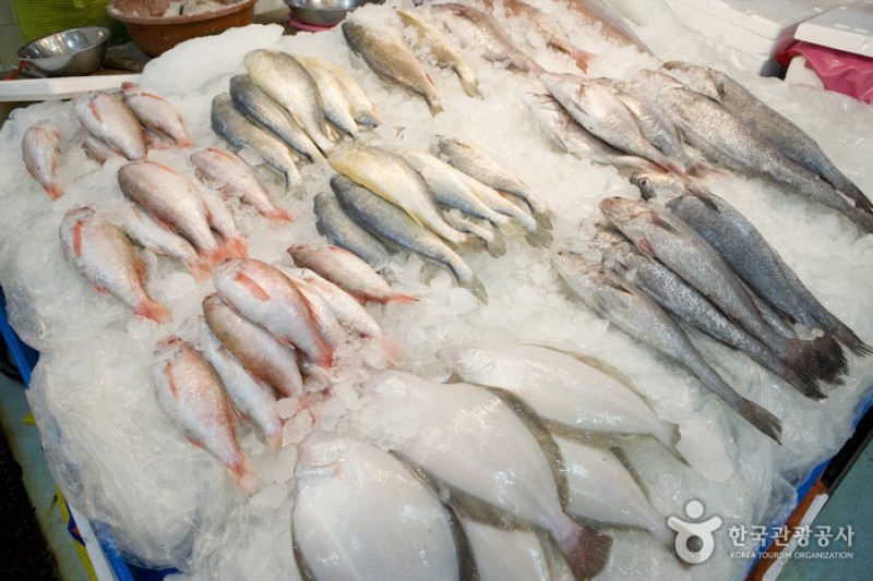 Jagalchi Market Live and Fresh Fish Section  (1/6)