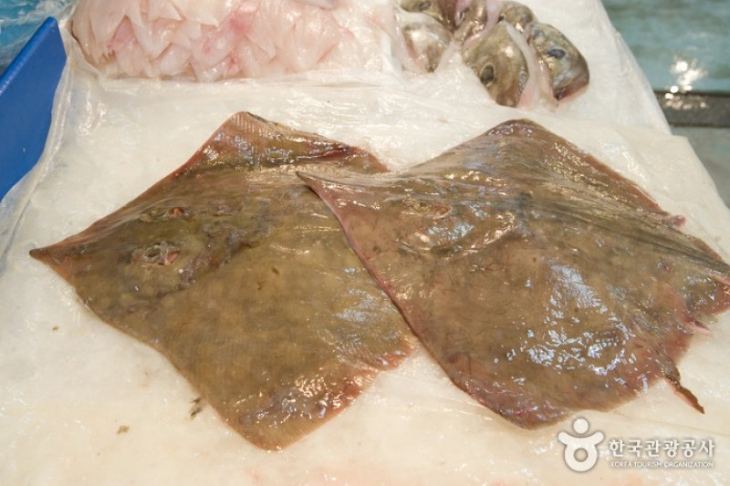 Jagalchi Market Live and Fresh Fish Section  (2/6)
