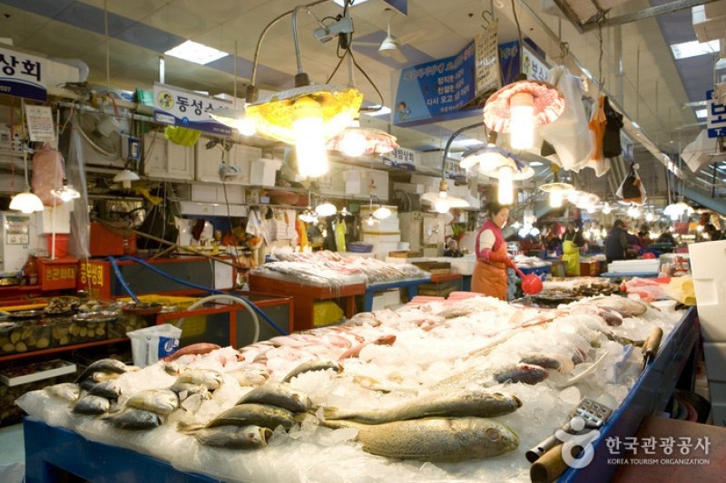 Jagalchi Market Live and Fresh Fish Section  (3/6)
