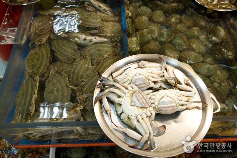 Jagalchi Market Live and Fresh Fish Section  (4/6)