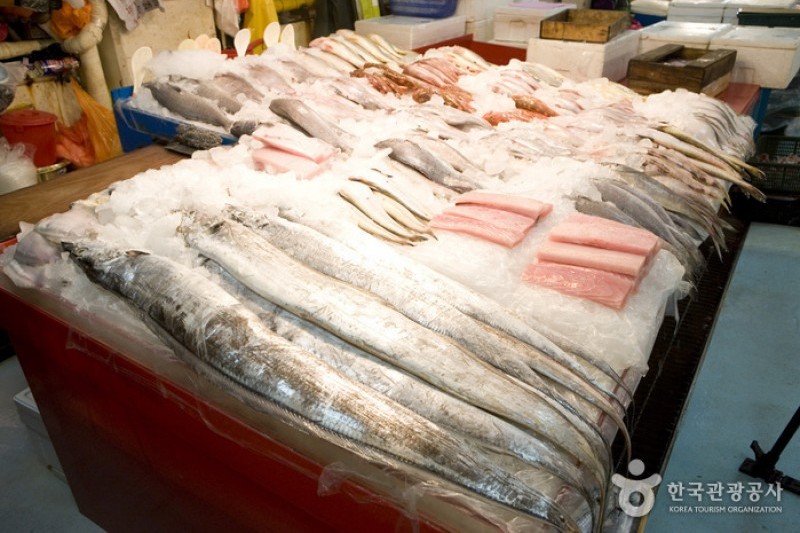 Jagalchi Market Live and Fresh Fish Section  (5/6)