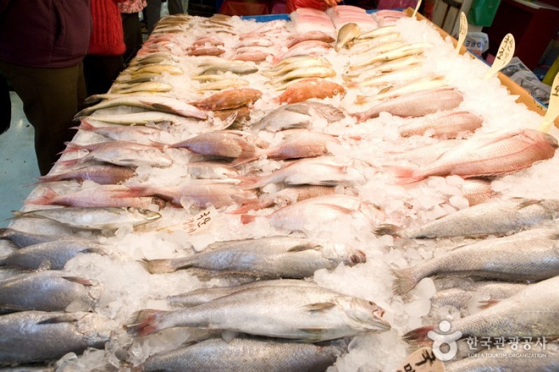 Jagalchi Market Live and Fresh Fish Section  (6/6)
