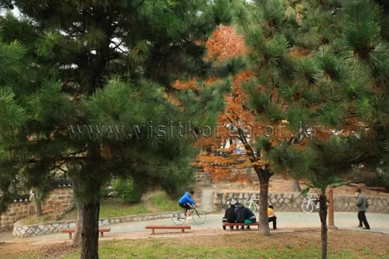 Suyeong Sajeok Park (수영사적공원) (4/40)