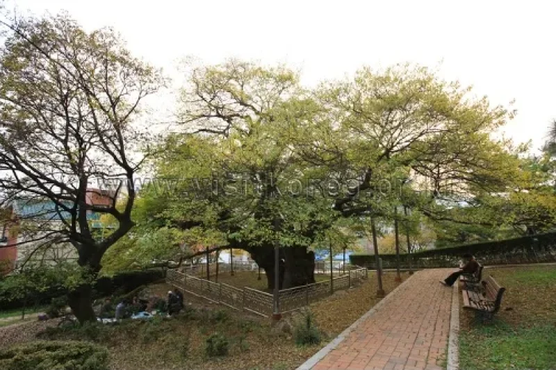 Suyeong Sajeok Park (수영사적공원) (11/40)