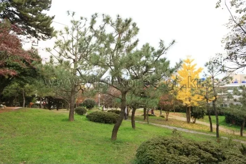 Suyeong Sajeok Park (수영사적공원) (12/40)