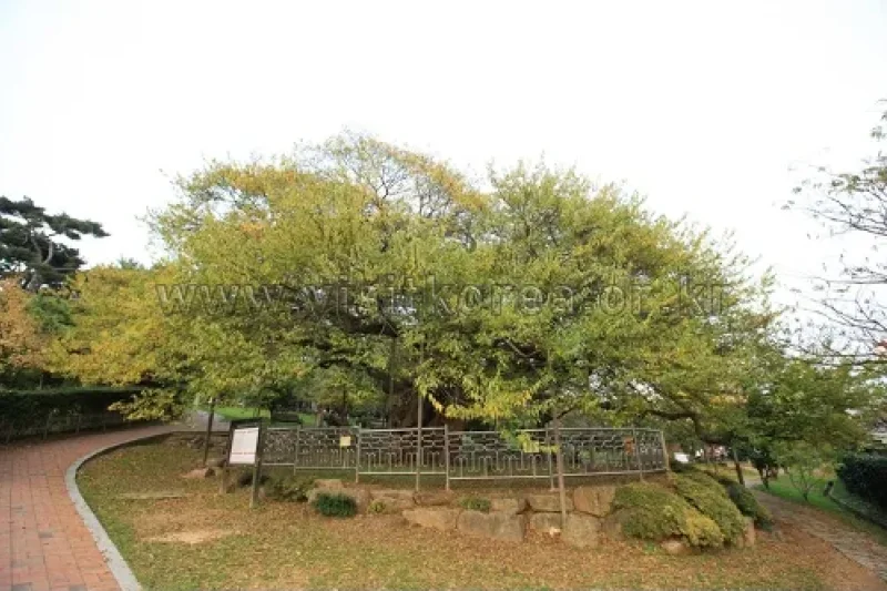 Suyeong Sajeok Park (수영사적공원) (16/40)
