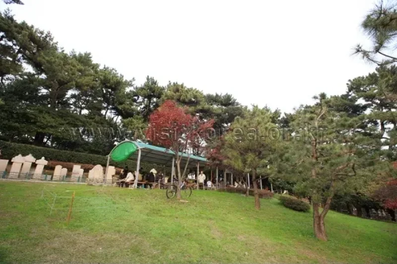 Suyeong Sajeok Park (수영사적공원) (18/40)
