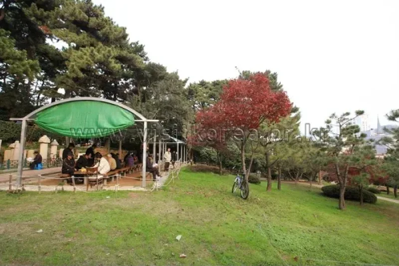 Suyeong Sajeok Park (수영사적공원) (19/40)