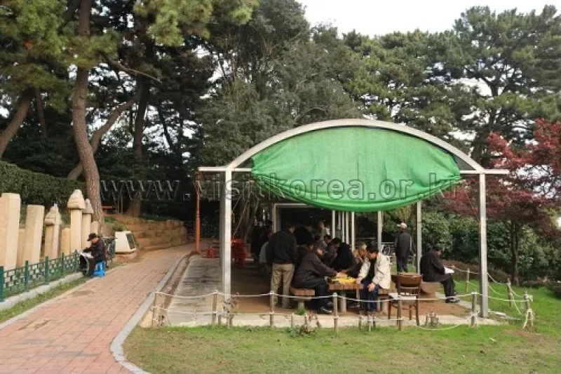 Suyeong Sajeok Park (수영사적공원) (21/40)