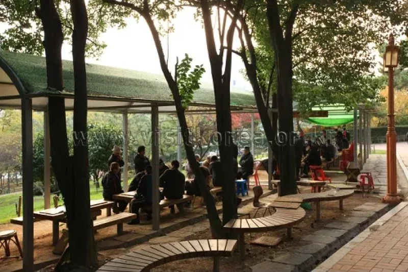 Suyeong Sajeok Park (수영사적공원) (24/40)