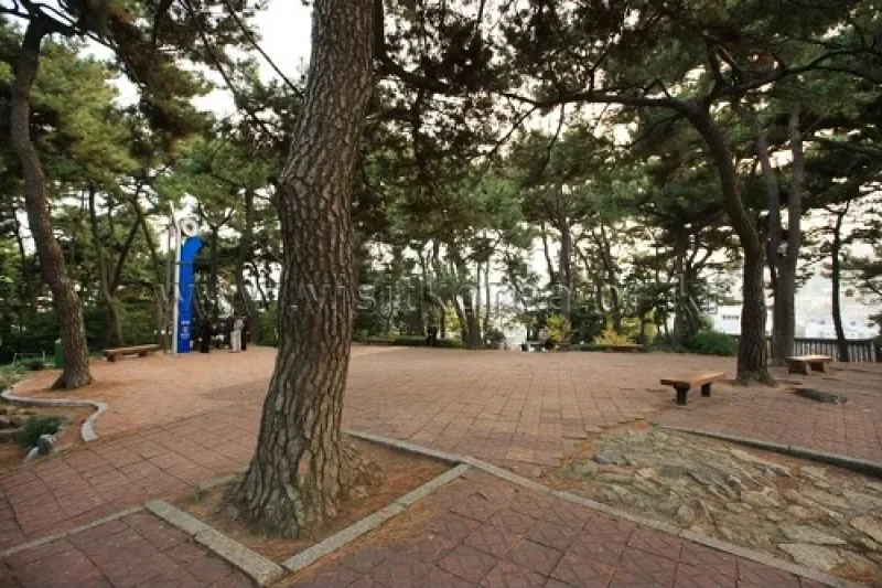 Suyeong Sajeok Park (수영사적공원) (28/40)