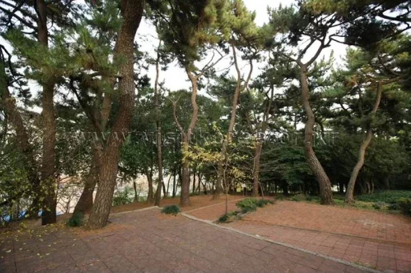 Suyeong Sajeok Park (수영사적공원) (29/40)