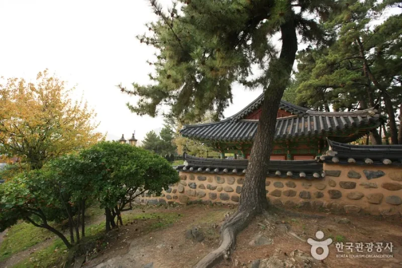 Suyeong Sajeok Park (수영사적공원) (37/40)