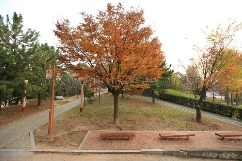 Suyeong Sajeok Park (수영사적공원) (38/40)