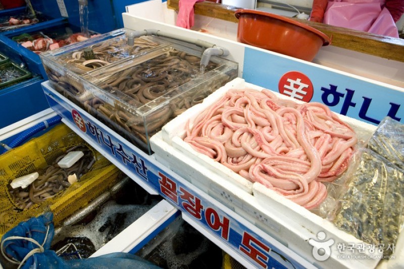 Jagalchi Market Live Sea Eels Section  (1/6)