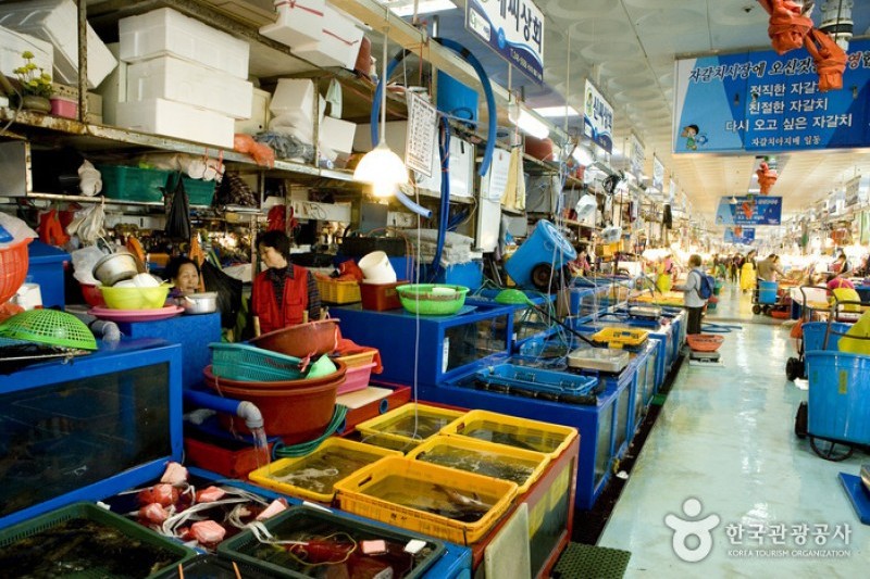 Jagalchi Market Live Sea Eels Section  (2/6)
