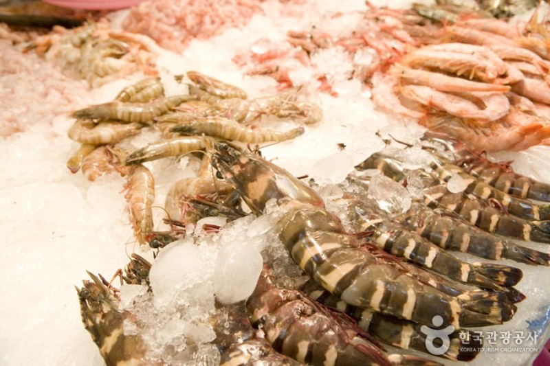 Jagalchi Market Live Sea Eels Section  (3/6)
