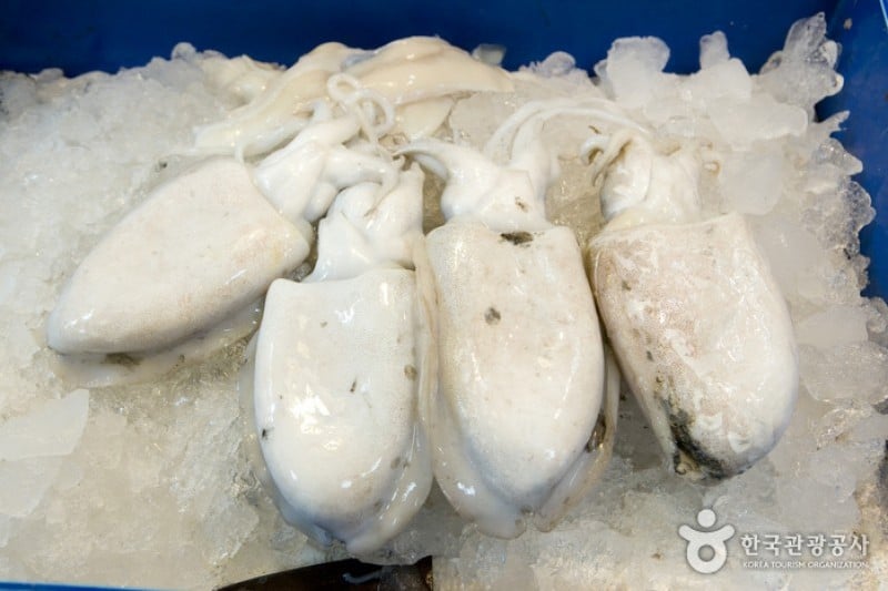 Jagalchi Market Live Sea Eels Section  (4/6)