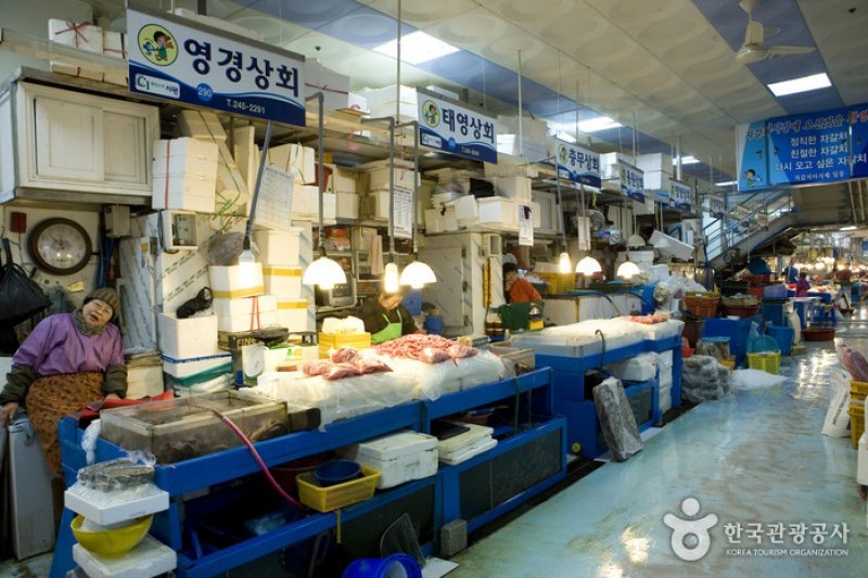 Jagalchi Market Live Sea Eels Section  (6/6)