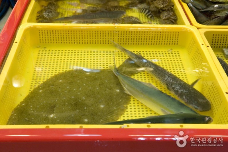 Jagalchi Market Live Fish Section  (2/8)