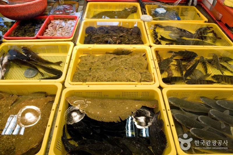 Jagalchi Market Live Fish Section  (4/8)