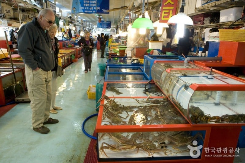 Jagalchi Market Live Fish Section  (6/8)