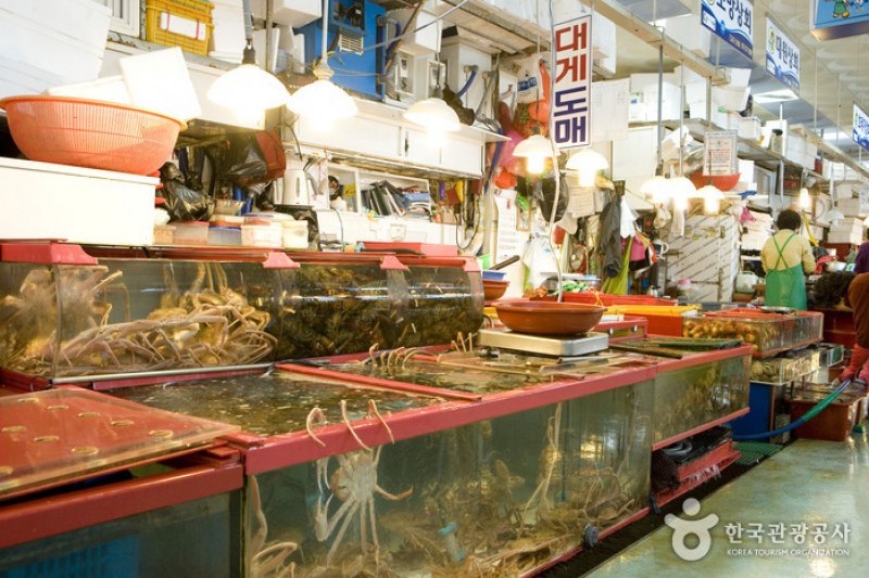 Jagalchi Market Live Fish Section  (8/8)