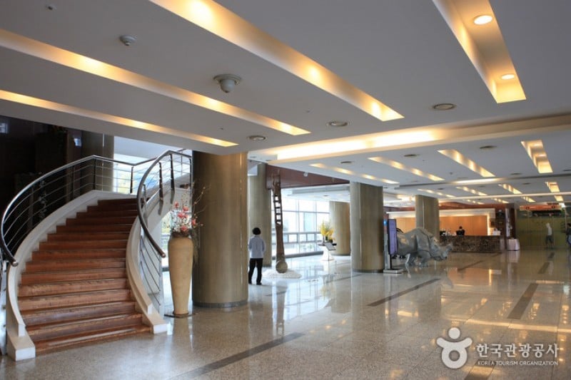 Busan Youth Hostel Arpina  (7/7)