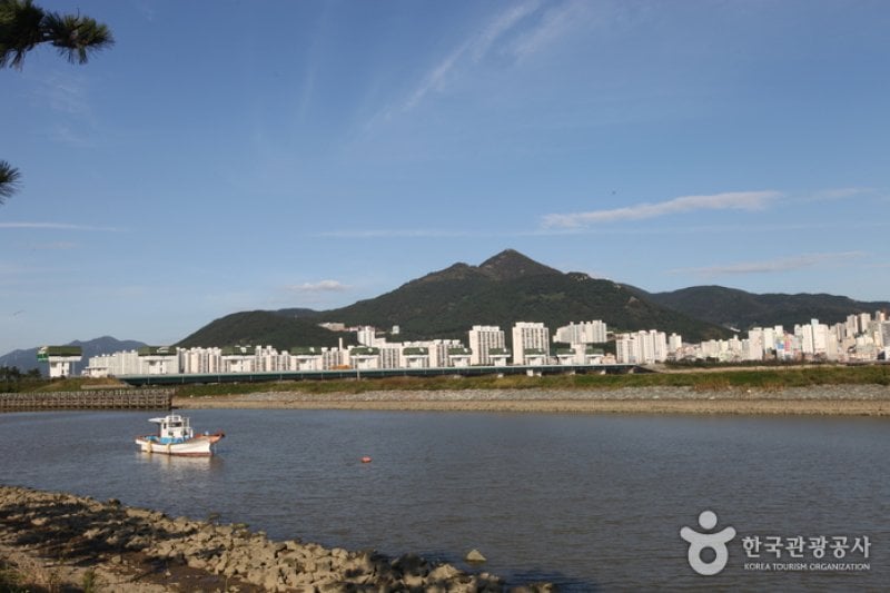 Eulsukdo Island (을숙도) (5/17)