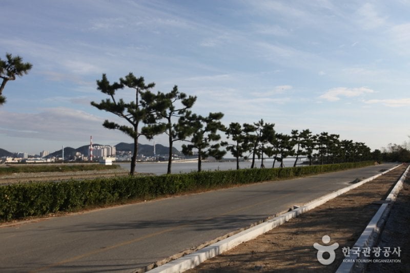 Eulsukdo Island (을숙도) (6/17)