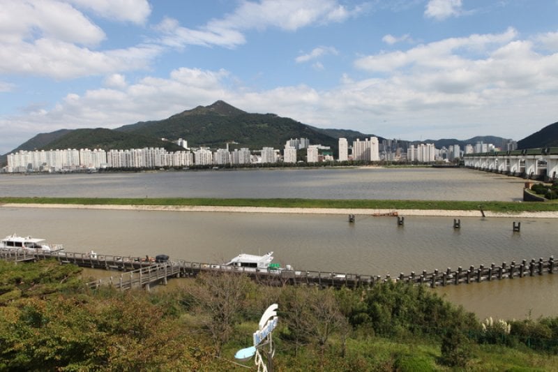 Eulsukdo Island (을숙도) (8/17)