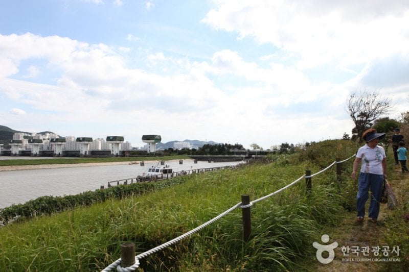 Eulsukdo Island (을숙도) (12/17)