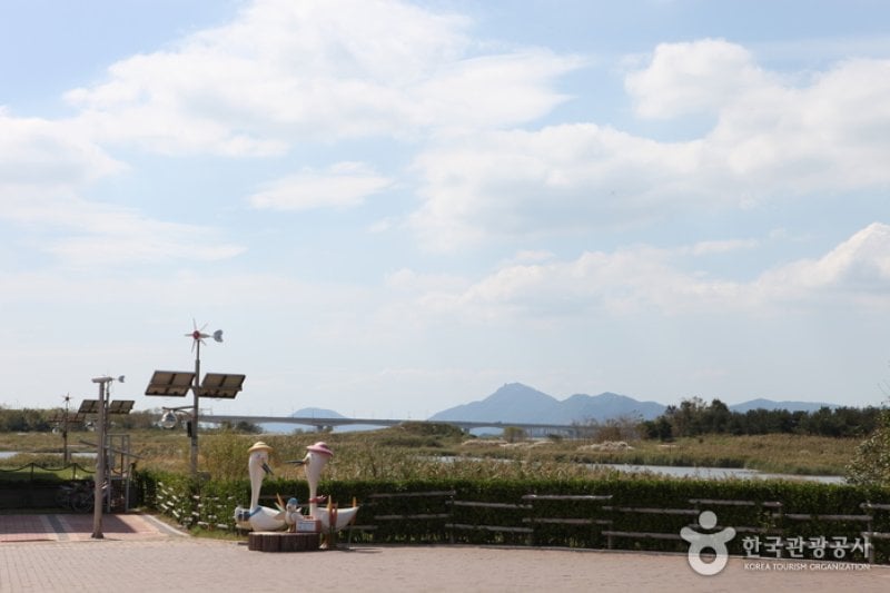 Eulsukdo Island (을숙도) (13/17)