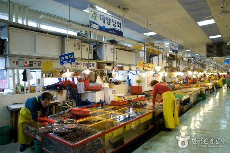 Jagalchi Market Abalones Section  (1/8)
