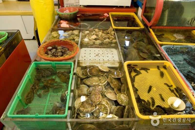 Jagalchi Market Abalones Section  (2/8)