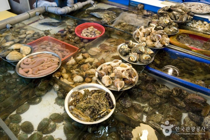Jagalchi Market Abalones Section  (3/8)