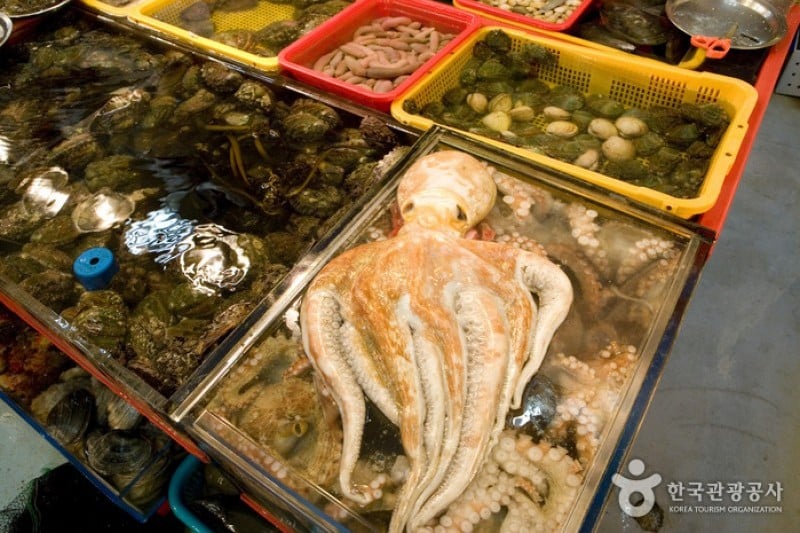 Jagalchi Market Abalones Section  (4/8)
