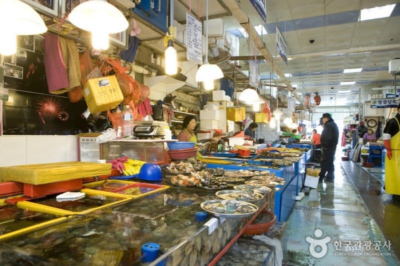 Jagalchi Market Abalones Section  (8/8)