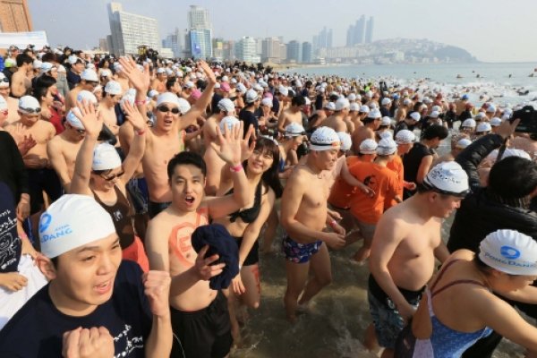 Polar Bear Swimming Contest
