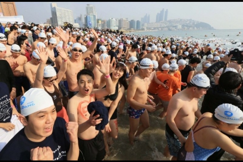 Polar Bear Swimming Contest  (1/6)