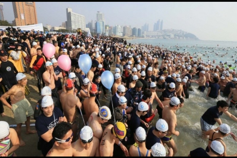 Polar Bear Swimming Contest  (4/6)
