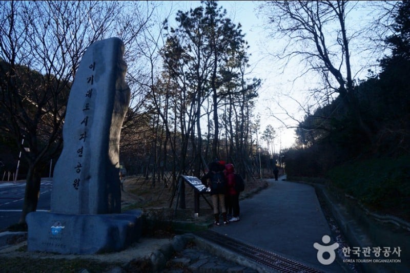 Igidae Park  (1/37)