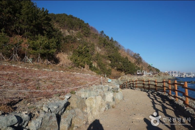 Igidae Park  (5/37)