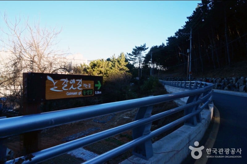 Igidae Park  (10/37)