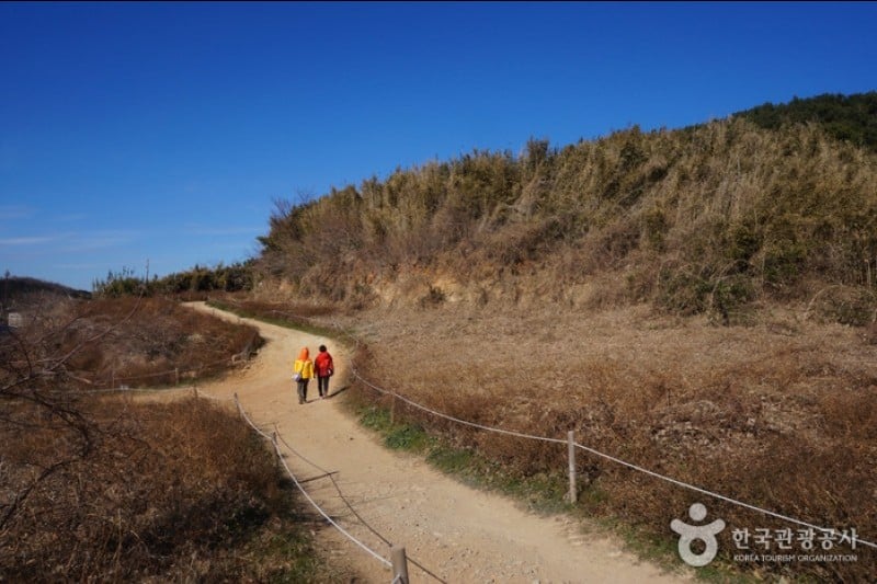 Igidae Park  (14/37)