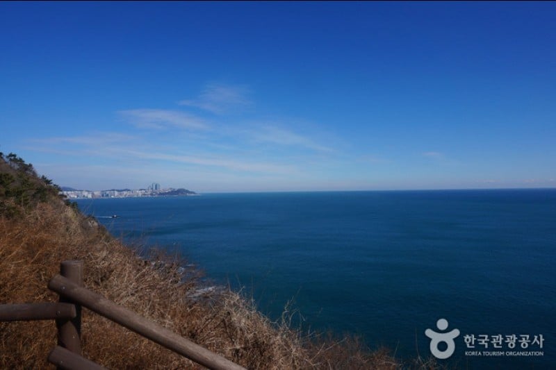 Igidae Park  (17/37)
