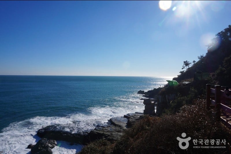 Igidae Park  (20/37)