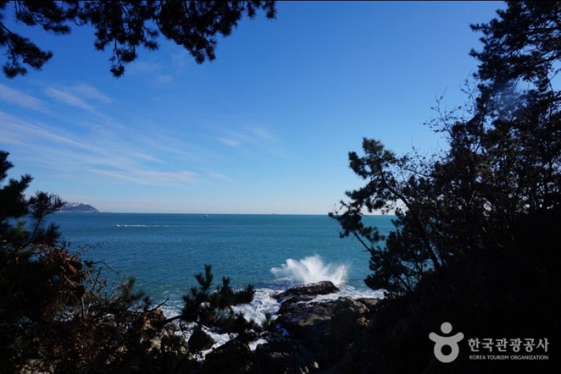 Igidae Park  (25/37)