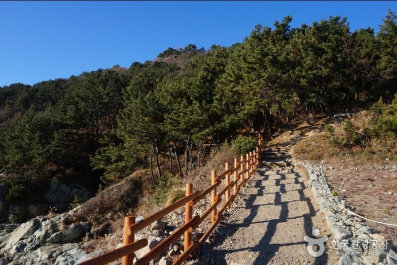 Igidae Park  (27/37)